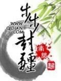 步步封疆丁元松