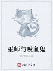 巫师与吸血鬼免费阅读