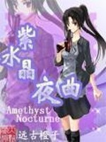 紫水晶夜曲小说下载