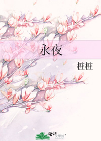 永夜星河全集免费播放高清视频