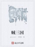 贼三国小说