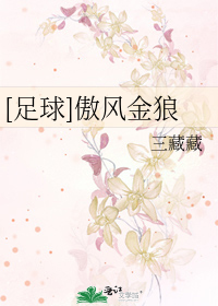 傲风最新