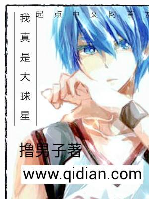我真是大球星小说