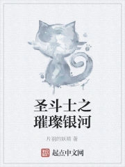 圣斗士璀璨银河小说