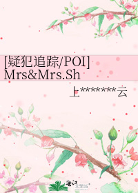 疑犯追踪 revenge