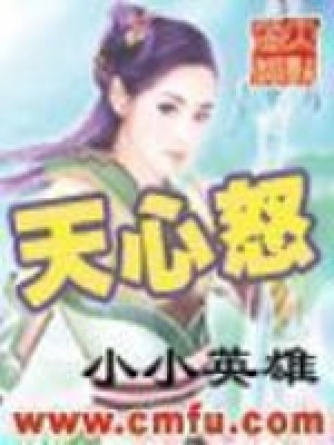 天心怒小小英雄