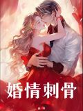 小说婚刺免费阅读全文