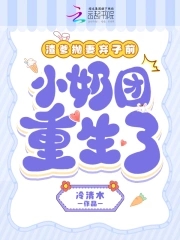 渣爹重生宠儿的小说