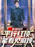 官场小说:平步权峰