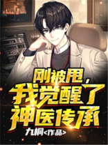 刚被甩,我觉醒了神医传承视频