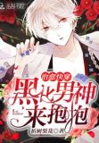 治愈快穿:黑化男神,来抱抱