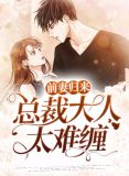 前妻归来：总裁大人太难缠
