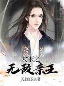 大宋之无敌亲王