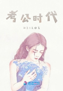 考公时代 小说