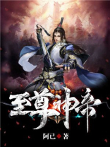 至尊神帝萧凌免费阅读无弹窗