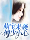 萌宝来袭傅少小心