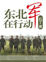 东北军在行动