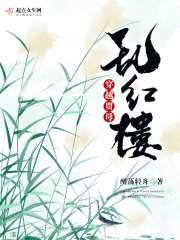 穿越贾母红楼小说