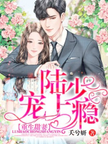 重生甜妻,陆少宠上瘾