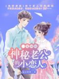 一见钟情:神秘老公的小恋人
