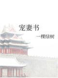 宠妻书