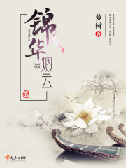 京华烟云锦儿