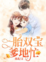 一胎双宝爹地忙