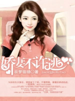 娇妻哪里逃电视剧