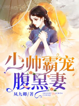 少帅的腹黑逃妻免费阅读