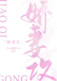 娇妻攻