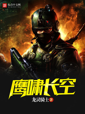 鹰啸长空txt