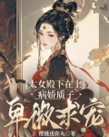 妻主在上，柔弱质子红眼求恩宠