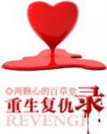 重生复仇录