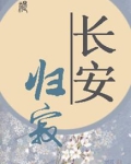 长安归寂