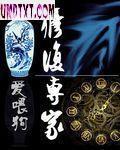 修复专家