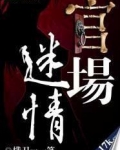 官场迷情