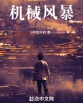 机械风暴