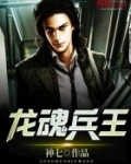 龙魂兵王