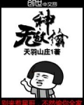 无敌神偷