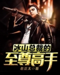冰山总裁的至尊高手