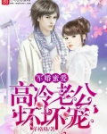 军婚蜜爱：高冷老公，坏坏宠