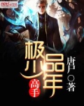极品少年高手