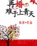 再婚难于上青天