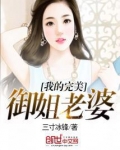 我的完美御姐老婆