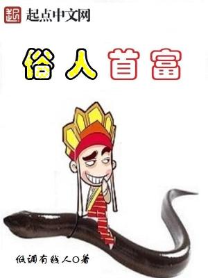 俗人一枚 小说