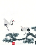 恒界