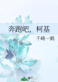 奔跑吧,柯基