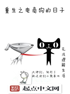 重生之电商时代