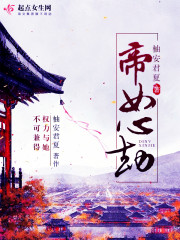 帝心劫小说