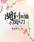 开封有猫,小凤有刀